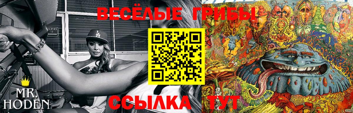 Псилоцибиновые грибы мухоморы Апшеронск