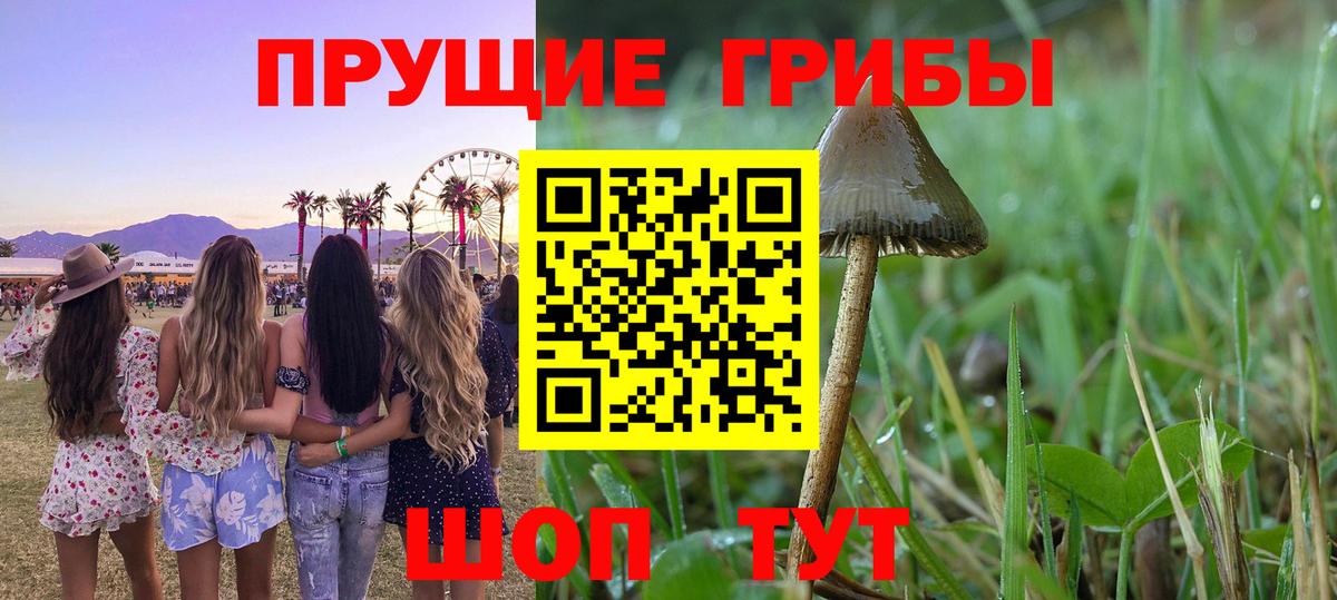 Галлюциногенные грибы мухоморы  Вход с VPN  дарнет шоп  Апшеронск 
